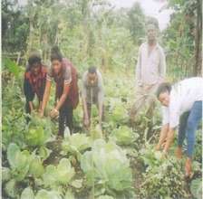 Providing Microloans to 5000 Poor Farmers