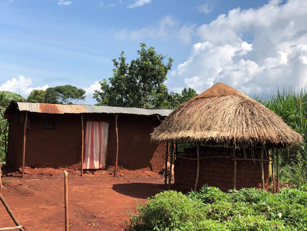 Typical Village House