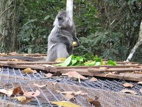 Eating some snacks left out for them