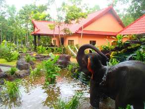 Elephant Conservation Center at Phnom Tamao