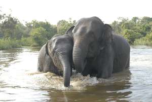 Playing in the water