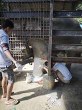 Creating the cast for the prosthesis