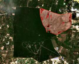 530 hectares destroyed (European Space Agency)