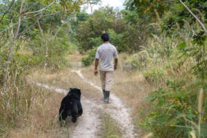 Micah and his keeper on a walk through the forest