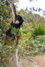 Micah enjoys practicing his climbing skills