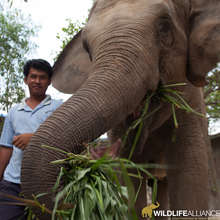 Lucky and Sitheng - closely bonded