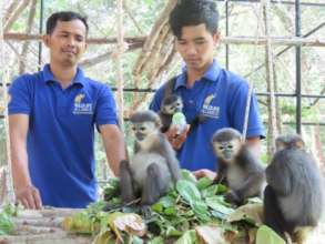 Keepers with You-Bee and her douc langur troupe