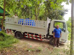 Delivering grass to the gaur