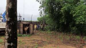 Sambar moved to Koh Kong for eventual release