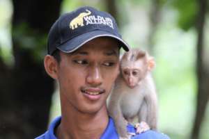 Pisei with young macaque