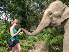 Walking with Lucky the Elephant