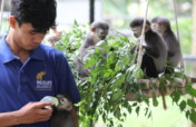 Help Care for Rescued Animals in Cambodia