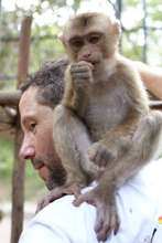 The Author with a Rescued Baby Macaque