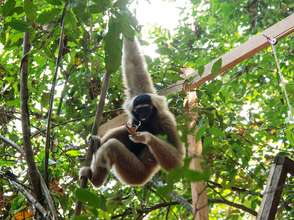 Saranik swinging free for the first time in Angkor