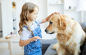 Help Keep Child Abuse Victims & Pets Together