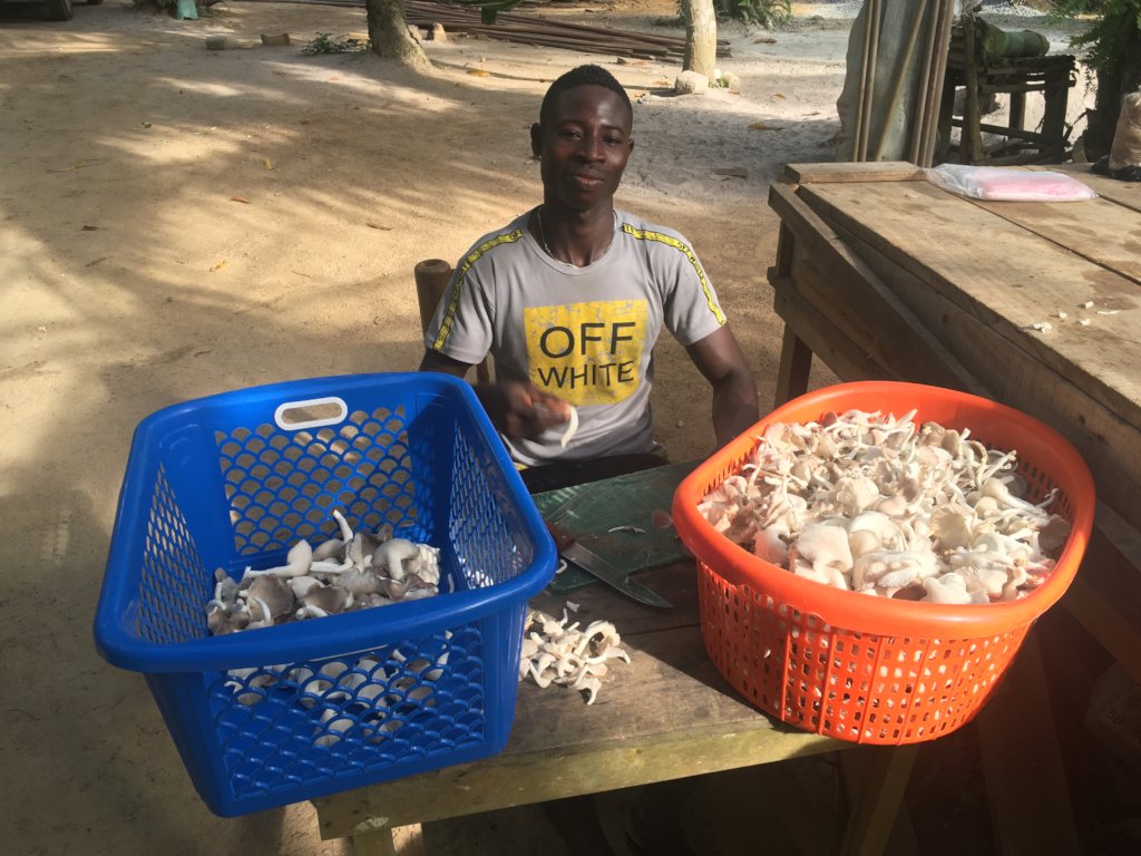 Sustainability training for marginalized Ghanaians