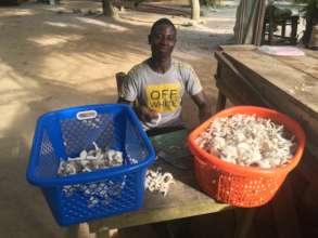 Mushroom production