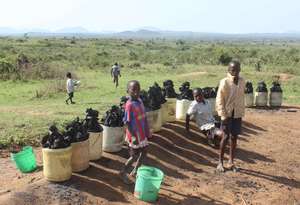 Roadside charcoal sales