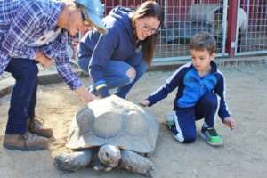 Farm animal education