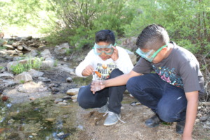 Students conduct water quality experiments