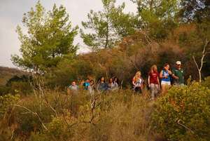 Environmental Exploration Hike