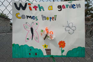 Student Artwork