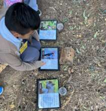 Students explore oak tree adaptations.