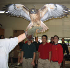 Traveling Scientist: Birds of Prey