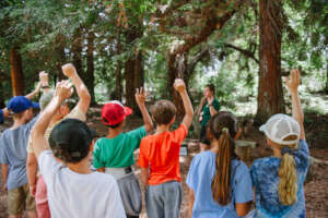 Learning under redwoods at Shipley Nature Center.