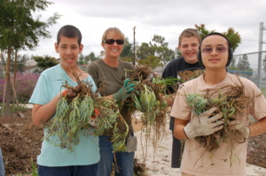 Students of all abilities thrive in school gardens