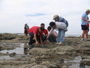 Crystal Cove State Beach Tide Pools