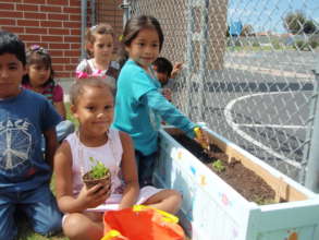 School Gardens - connecting the campus to learning
