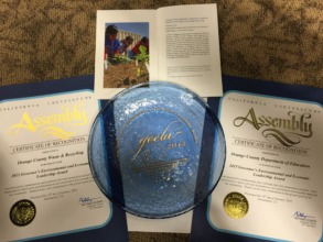 2015 Governor's Award
