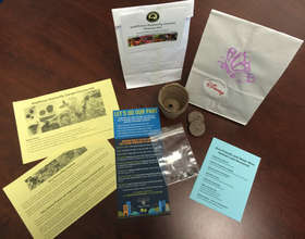 Wildflower Butterfly Garden starter kits