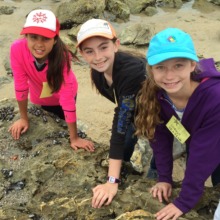 Tide pool exploration!