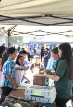 Earth Fair