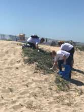 Environmental Stewardship