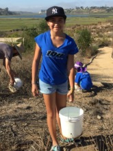 Volunteers hand-water 1500 native plant species