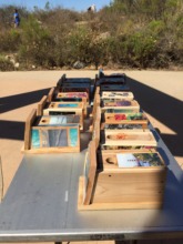 Decorated bird boxes will be donated to shcools