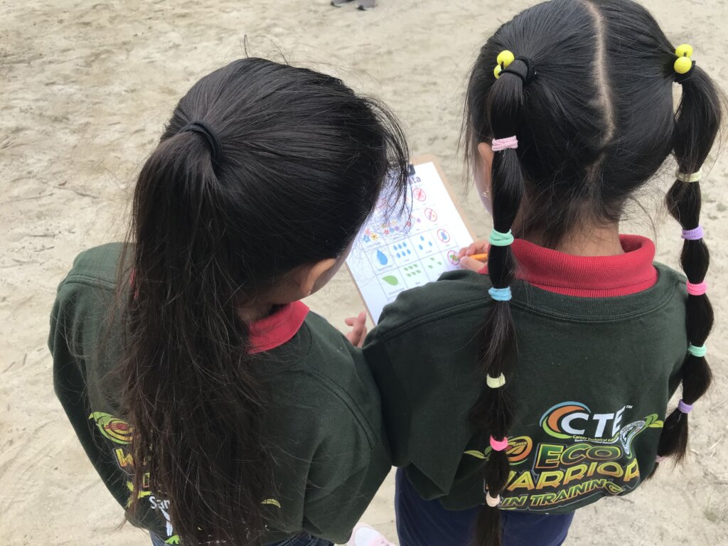 Kindergarten students collect data on butterflies.