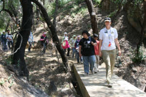 Exploration Hike - look for clues of animal life