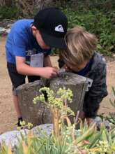 Exploring Nature