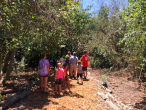 ITO Summer Camp Nature Hike
