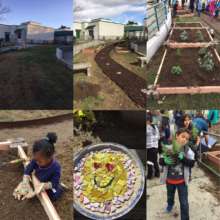 Mango Elementary School Garden