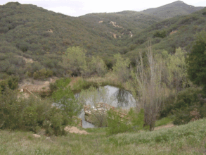 Rancho Sonado Pond (before fire)