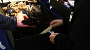 Students learned about vermicomposting
