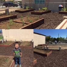 Native Plant Garden and Outdoor Classroom
