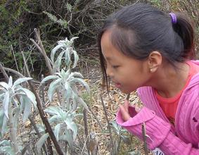 Students discovering nature