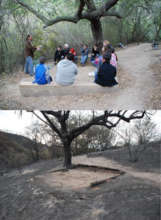 Before and after fire at Rancho Sonado
