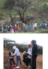 Lessons in Fire Ecology